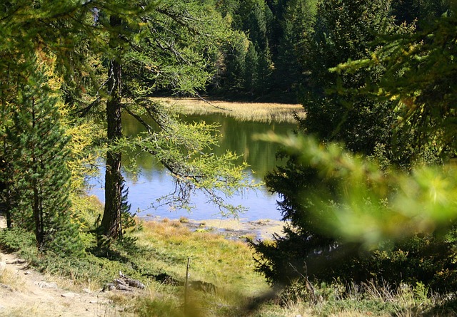 Free Hike Pond photo and picture