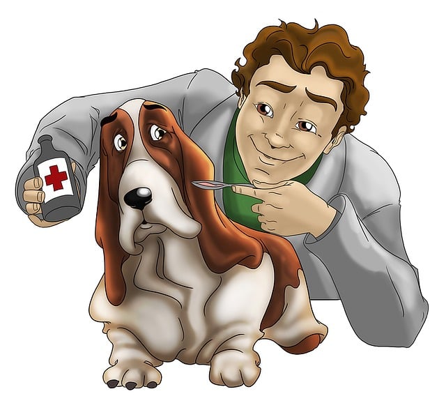 Free veterinary dog care illustration