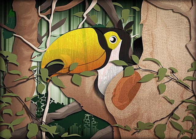 Free toucan bird tropical illustration