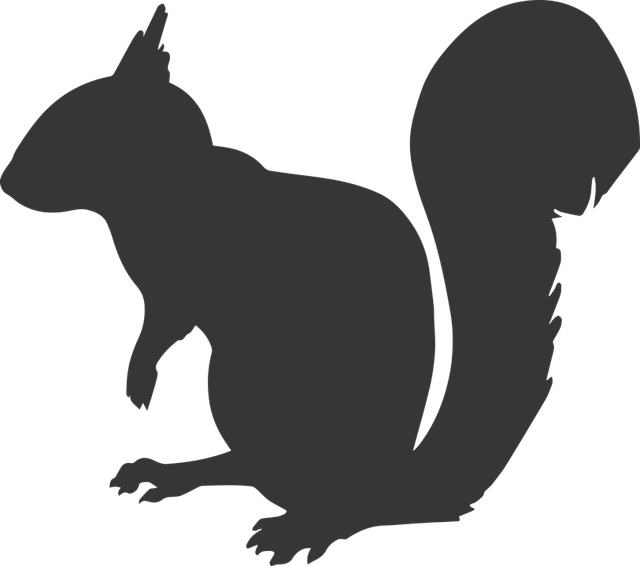 Free squirrel silhouette animal illustration