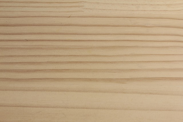 Free Tree Texture photo and picture