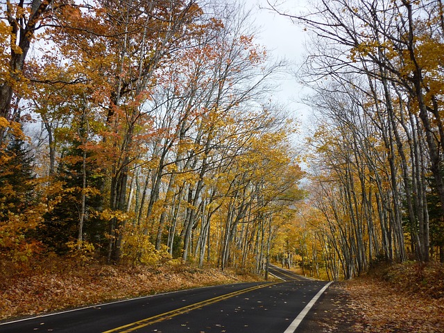 Free Road Winding photo and picture