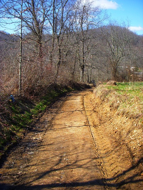 Free Country Road photo and picture