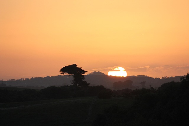 Free Victoria Sunset photo and picture