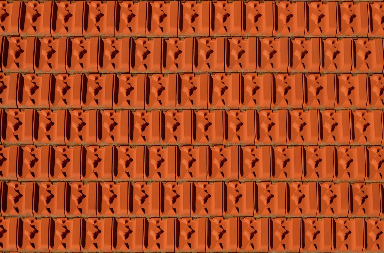 Roof Tiles - free online jigsaw puzzle photo