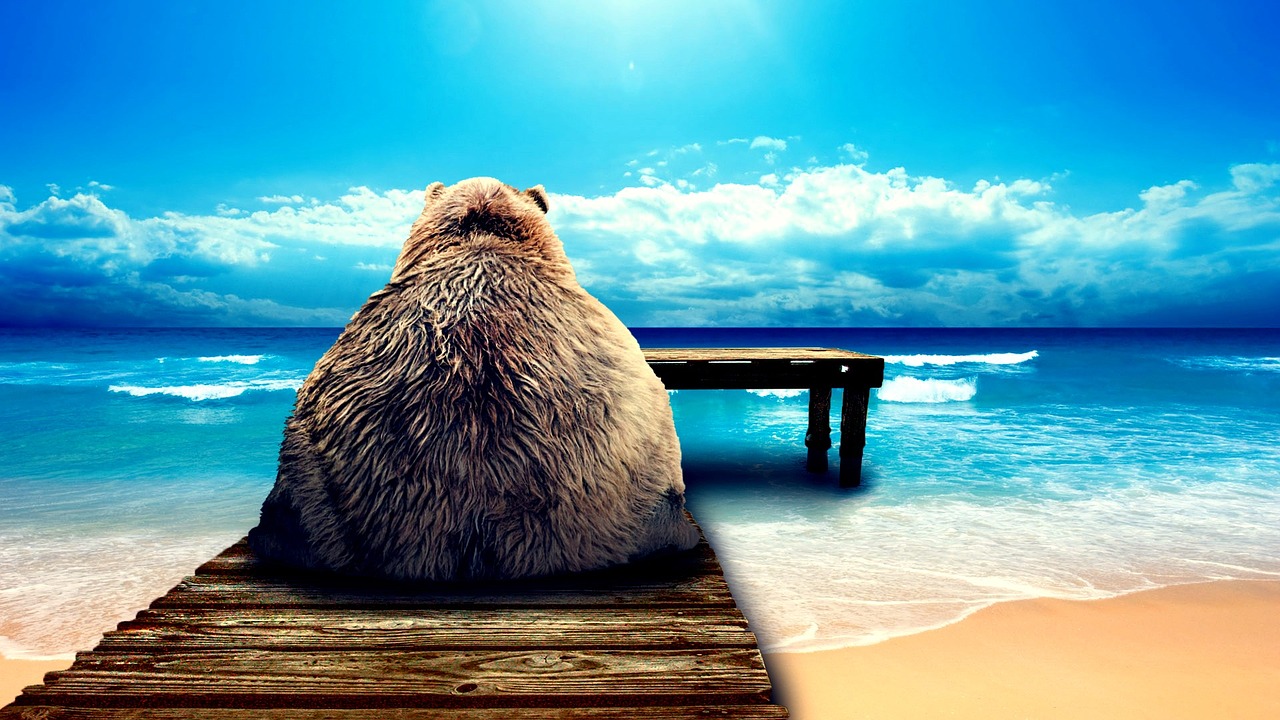 Download Bear, Beach, Vacation. Royalty-Free Stock Illustration Image ...