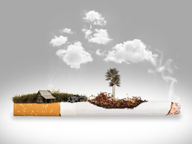 Free cigarette degradation plantation illustration