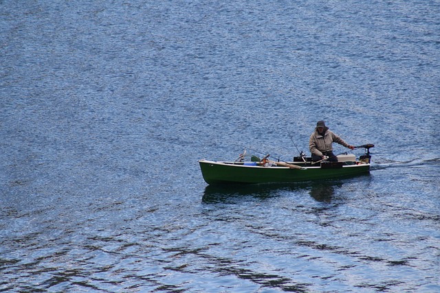 Free Achensee Fisherman photo and picture