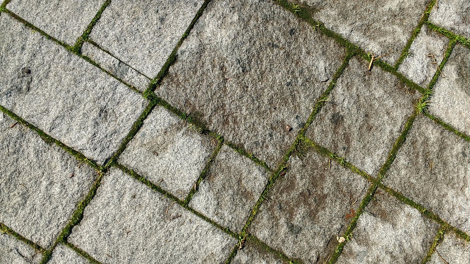 Kostenloses foto: boden, textur, moos, stein kostenloses bild ...
