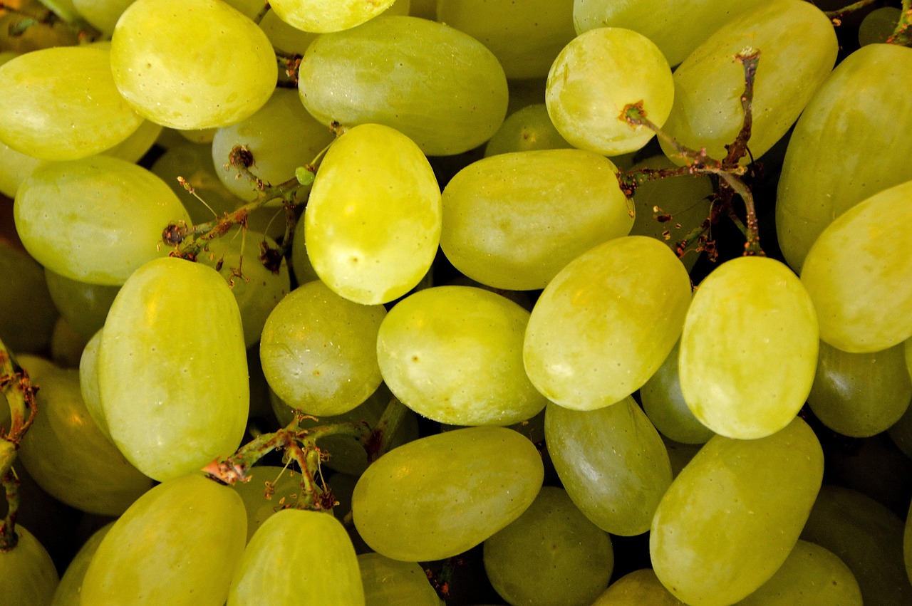 Grape Excellent Picture Grape Handle Sweet Left - Free photo on Pixabay - Pixabay