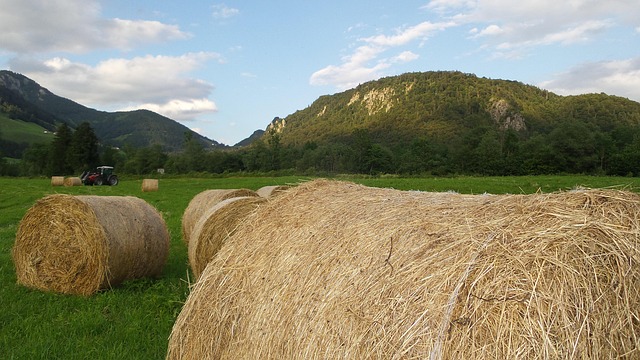 Free Hay Harvest photo and picture