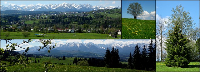 Free collage mountains tatry illustration