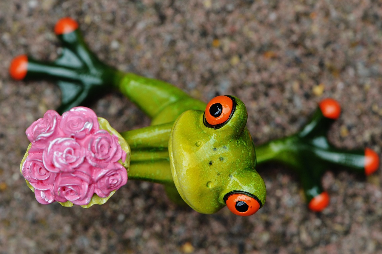 I Beg Your Pardon Excuse Me Frog Free Photo On Pixabay