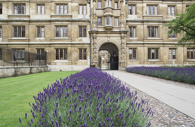 Free Clare College Cambridge photo and picture
