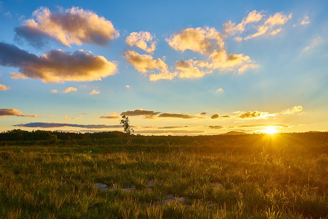 Free Landscape Sunset photo and picture