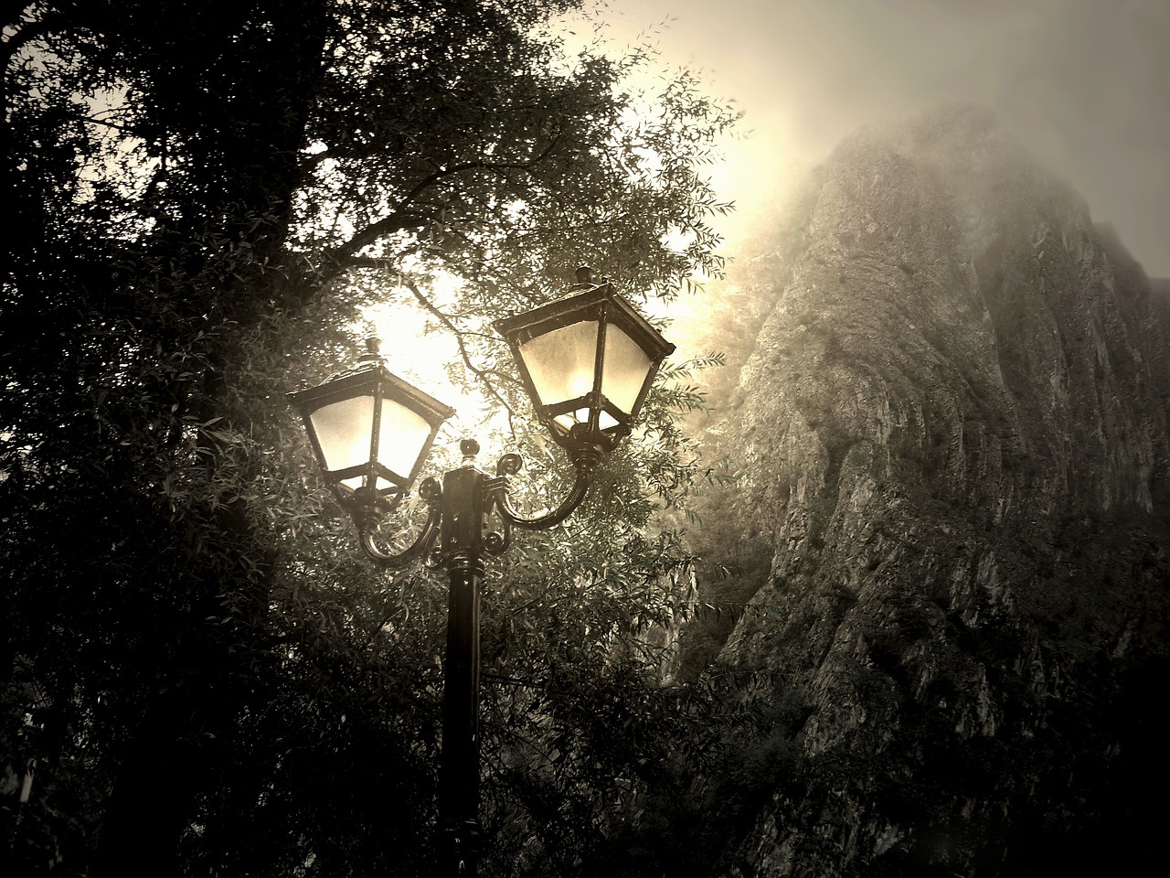 Wallpaper - free online jigsaw puzzle photo