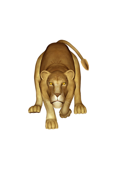 Leu, Leoaică, Animal, Africa, Natura