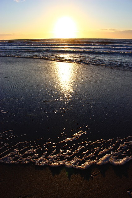 Free Cadzand Bad Netherlands photo and picture