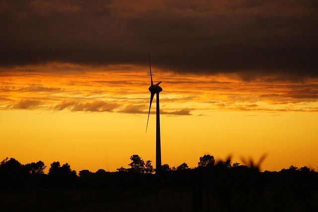 Free Windmill Holland photo and picture