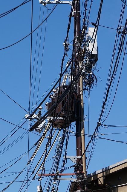 Cables, Salud Y Seguridad, Japón, Salud