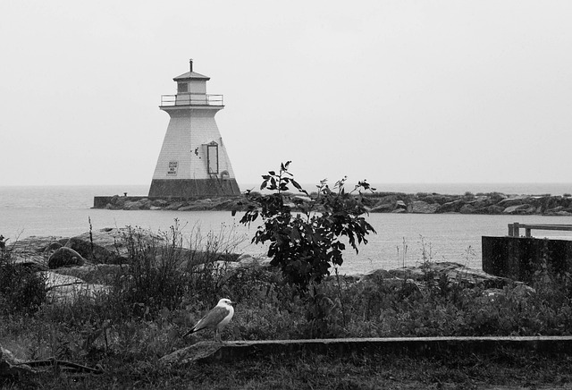 Free Black And White Lighthouse photo and picture