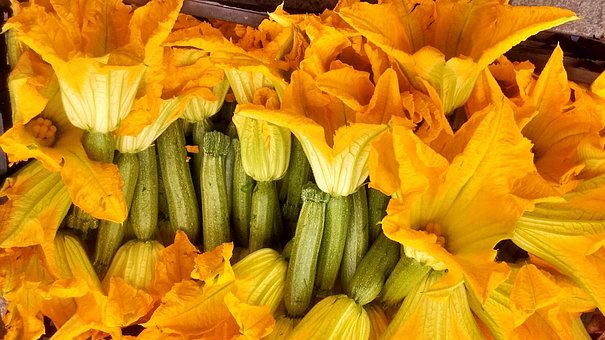 Free Yellow Flowers photo and picture