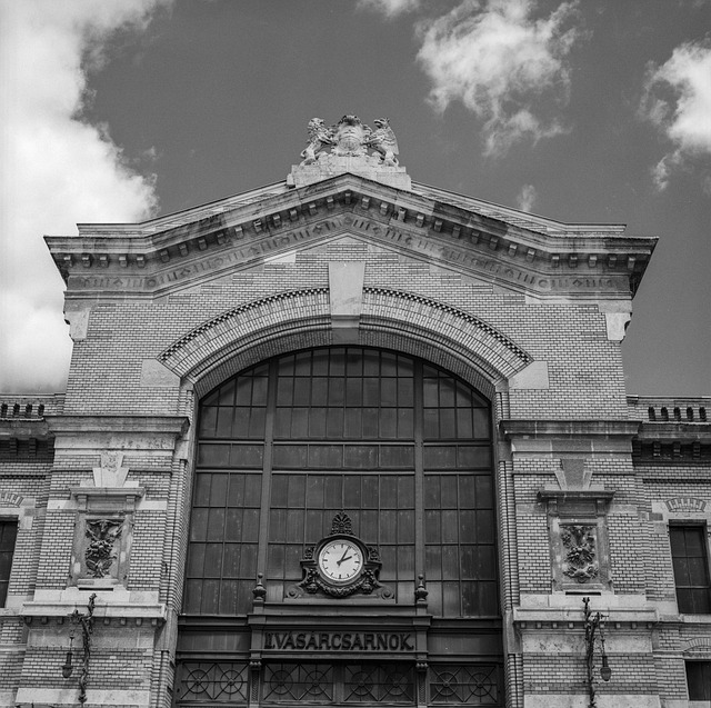 Ha visto questo al Mercado de Coimbra?