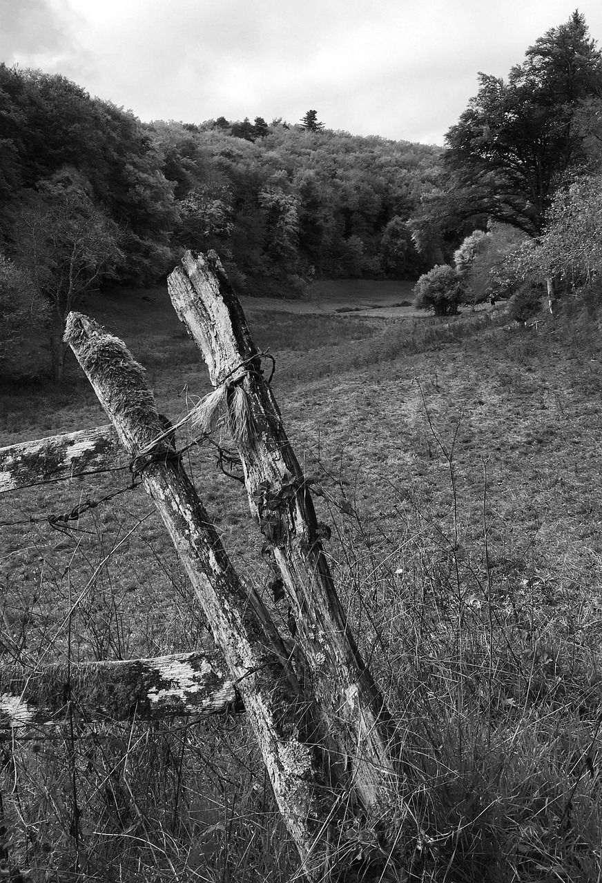 Black And White Fencing Nature - Free photo on Pixabay - Pixabay