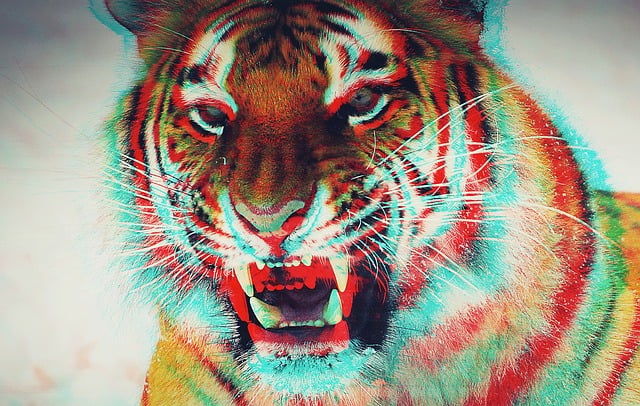Free 3d animal tiger illustration
