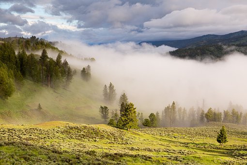Bakker, Landskab, Natur, Grøn, Skov