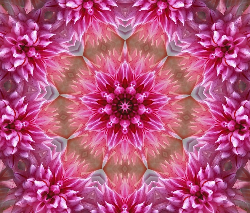 Flower Mandala Art Pink Abstract Concentric Color