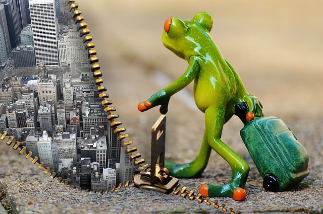 Free time for a change frog farewell illustration