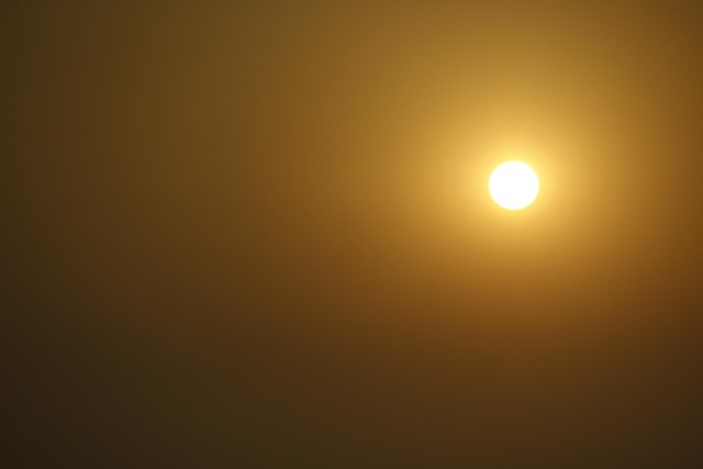Free Sun Sunset photo and picture