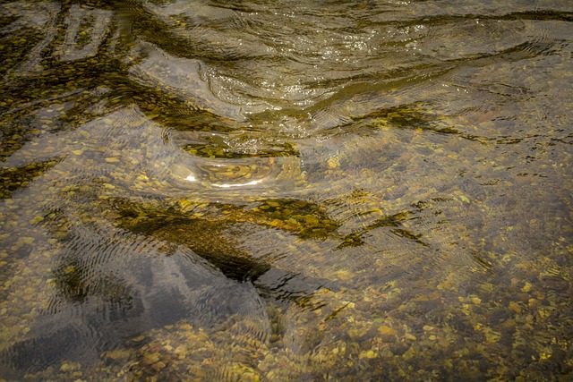 Wasser, Sauber, Natur, Fluss