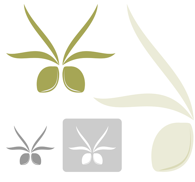 Free olives olive oil vector