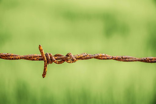 Old Barbed Wire Fence Old Barbed Wire Fence