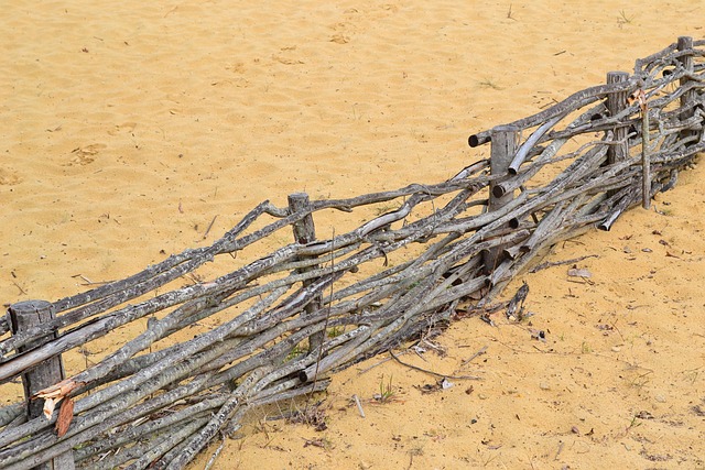 Free Sand Palisade photo and picture