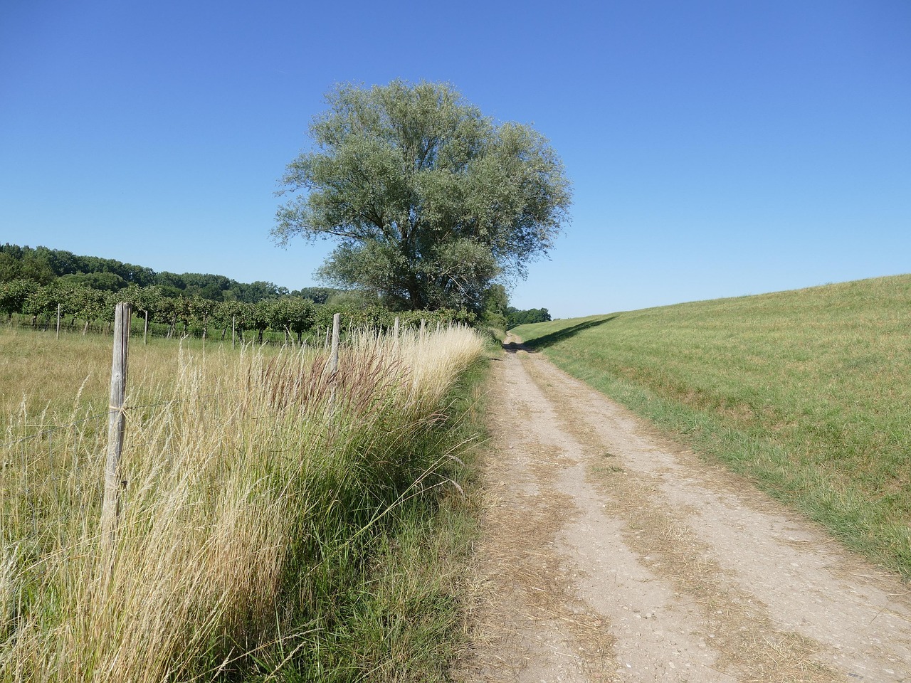 Paysage Chemin De Terre La Nature - Photo gratuite sur Pixabay - Pixabay