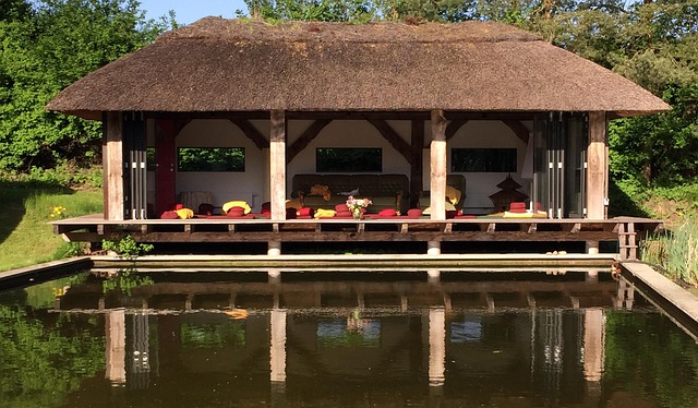 Free Meditation Silence photo and picture