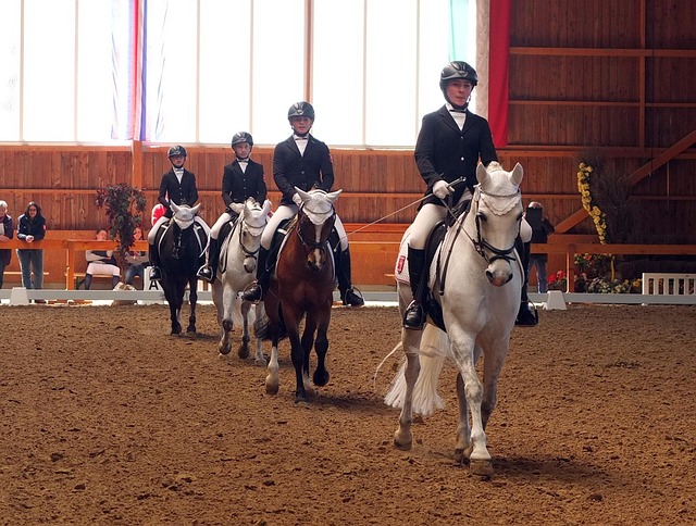 Free Dressage Tournament photo and picture