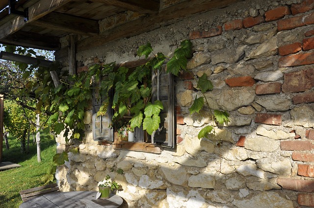 Südsteiermark, Wein, Herbst