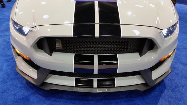 Free Shelby Sports Car photo and picture