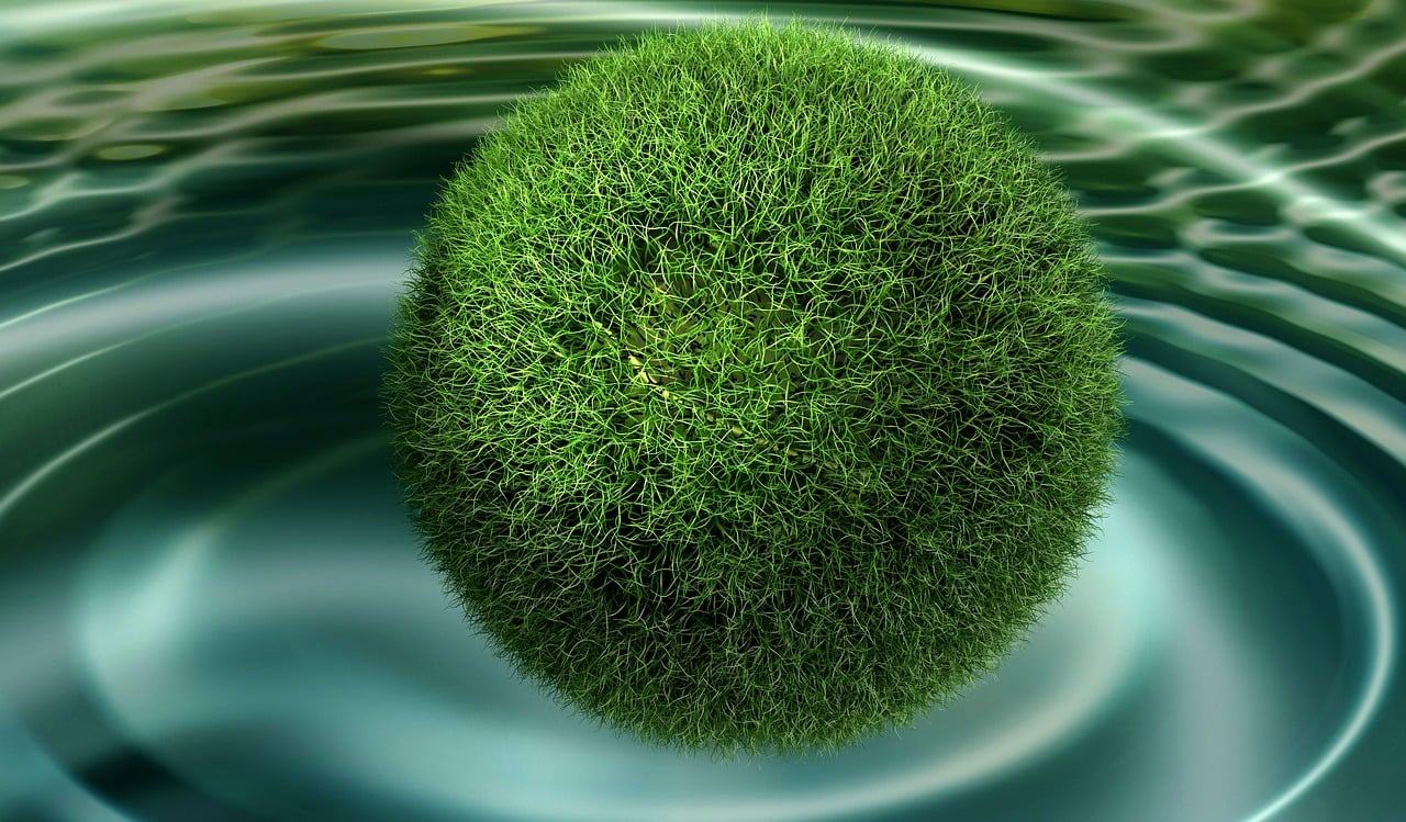 2,000+ Free Experiment Frisco & Experiment Images Pixabay