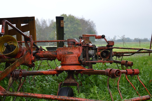 Free Agriculture Country Life photo and picture