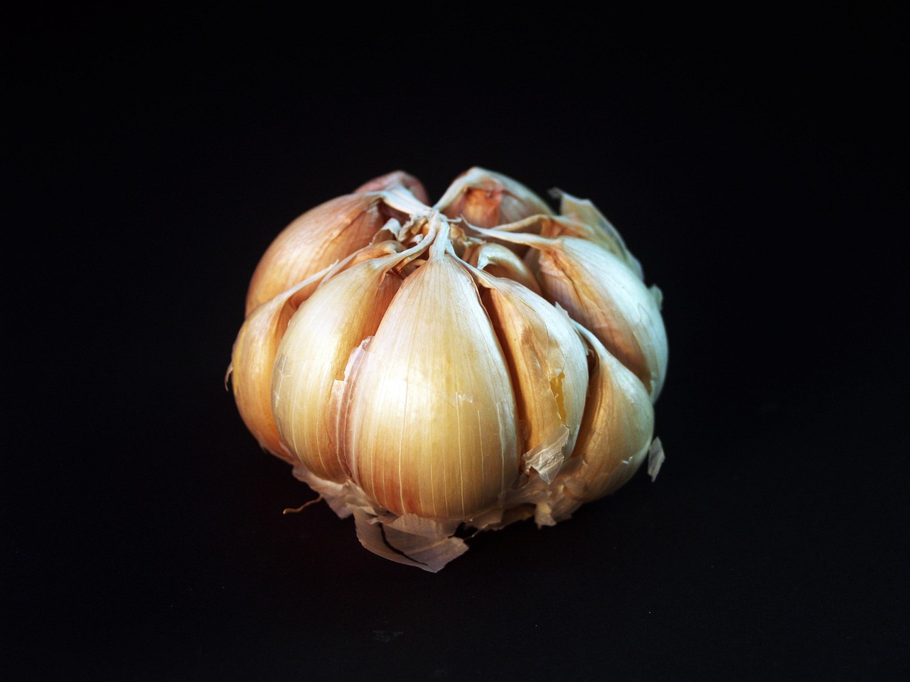 Garlic - free online jigsaw puzzle photo