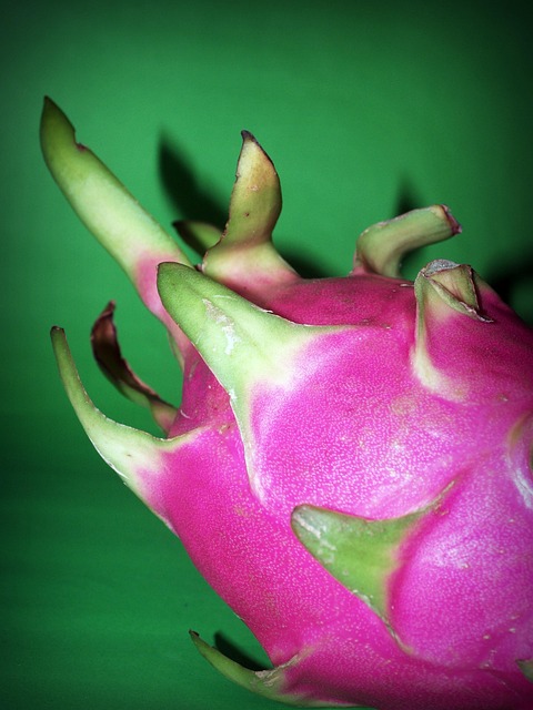 Free Fruit Dragon photo and picture