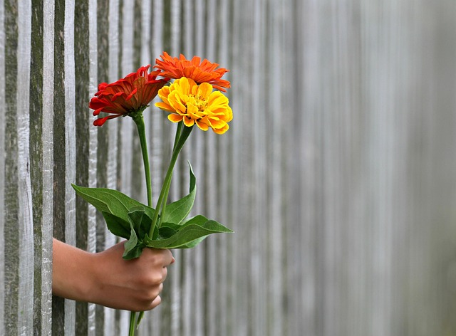Happy valentines day, hand, gift and bouquet — photo by klimkin