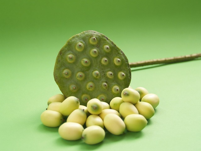 Lotus Seed Flower - Free photo on Pixabay