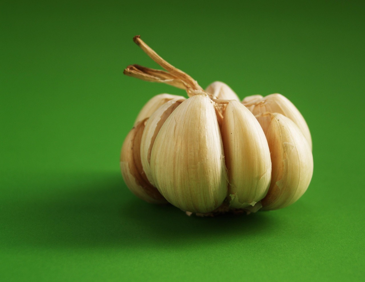 Garlic - free online jigsaw puzzle photo