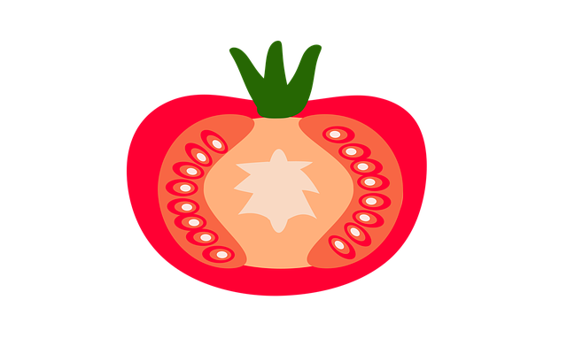 Free tomato tomatoes vector illustration